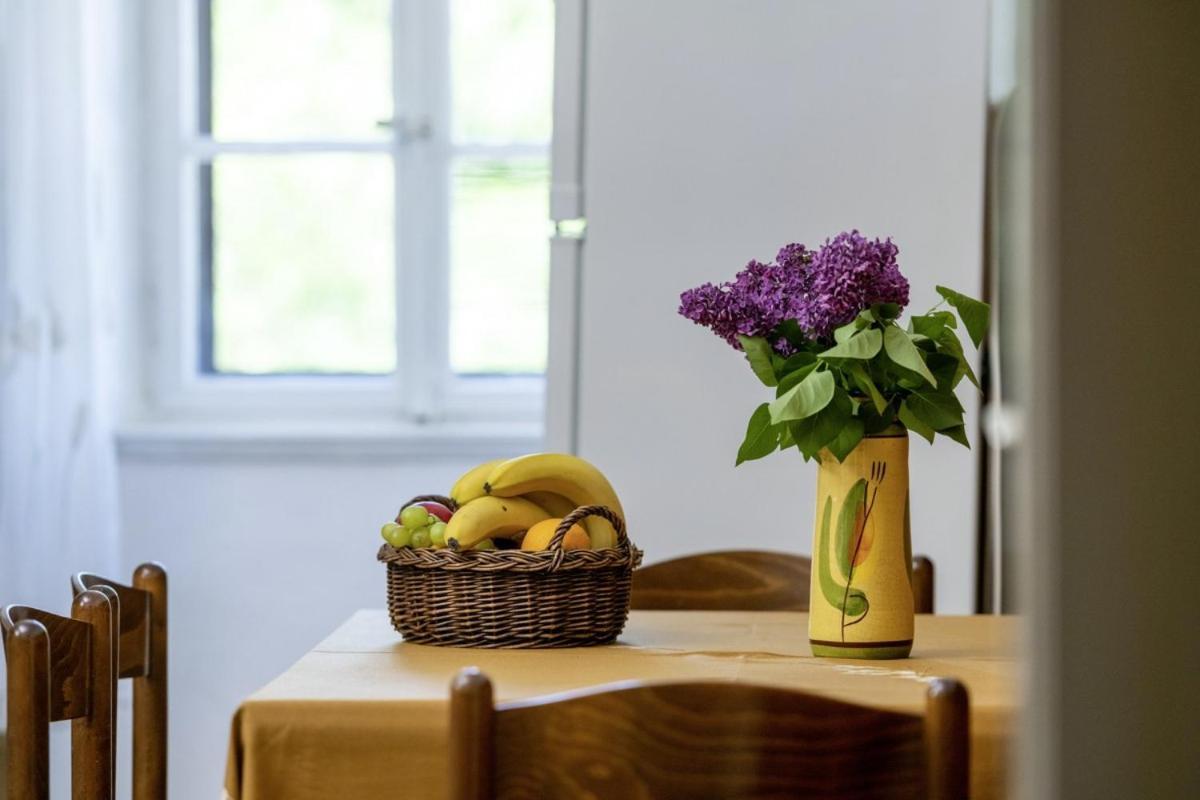 Villa Marina Plomin In Plomin - Haus Fuer 6 Personen Esterno foto
